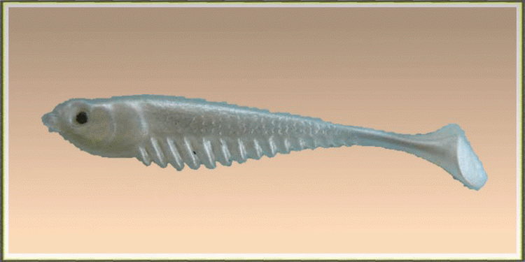 - zum Schließen ins Bild klicken